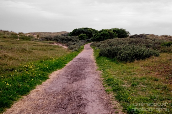Noordhollands_Duinreservaat_Dutch_landscape_nederlandse_landschap_spring_lente_nature_Photography_017_Canon_EOS_5D_Mark_IV.JPG