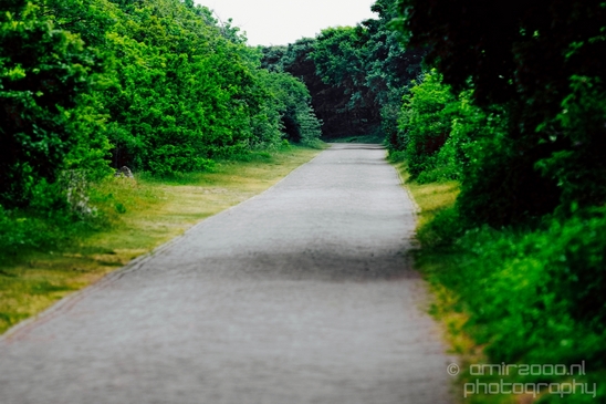 Noordhollands_Duinreservaat_Dutch_landscape_nederlandse_landschap_spring_lente_nature_Photography_029_Canon_EOS_5D_Mark_IV.JPG
