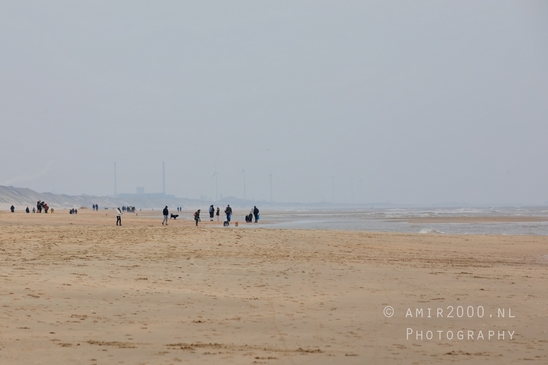 Noordhollands_Duinreservaat_North_Sea_Noordzee_Dutch_landscape_nederlandse_landschap_nature_Photography_003_Canon_EOS_5D_Mark_IV.JPG