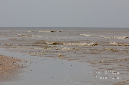 Noordhollands_Duinreservaat_North_Sea_Noordzee_Dutch_landscape_nederlandse_landschap_nature_Photography_004_Canon_EOS_5D_Mark_IV.JPG