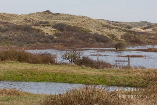 Noordhollands_Duinreservaat_North_Sea_Noordzee_Dutch_landscape_nederlandse_landschap_nature_Photography_006_Canon_EOS_5D_Mark_IV.JPG