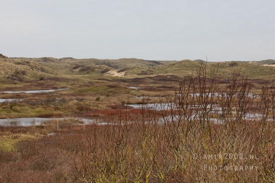Noordhollands_Duinreservaat_North_Sea_Noordzee_Dutch_landscape_nederlandse_landschap_nature_Photography_008_Canon_EOS_5D_Mark_IV.JPG