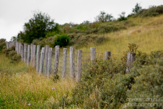 Noordhollands_Duinreservaat_North_Sea_Noordzee_Dutch_landscape_nederlandse_landschap_summer_nature_Photography_010_Canon_EOS_5D_Mark_IV.JPG