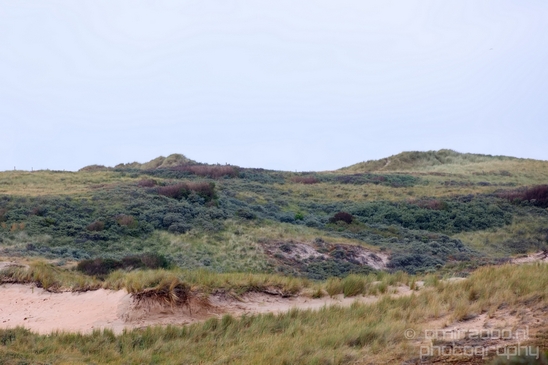 Noordhollands_Duinreservaat_North_Sea_Noordzee_Dutch_landscape_nederlandse_landschap_summer_nature_Photography_011_Canon_EOS_5D_Mark_IV.JPG
