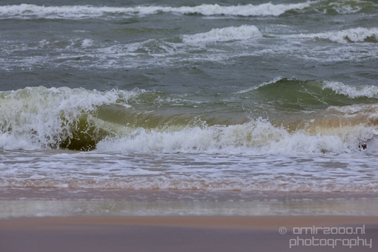 Noordhollands_Duinreservaat_North_Sea_Noordzee_Dutch_landscape_nederlandse_landschap_summer_nature_Photography_022_Canon_EOS_5D_Mark_IV.JPG