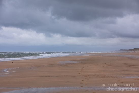 Noordhollands_Duinreservaat_North_Sea_Noordzee_Dutch_landscape_nederlandse_landschap_summer_nature_Photography_023_Canon_EOS_5D_Mark_IV.JPG
