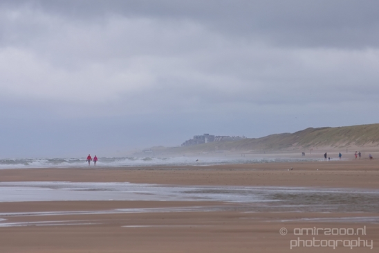 Noordhollands_Duinreservaat_North_Sea_Noordzee_Dutch_landscape_nederlandse_landschap_summer_nature_Photography_024_Canon_EOS_5D_Mark_IV.JPG