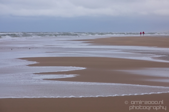 Noordhollands_Duinreservaat_North_Sea_Noordzee_Dutch_landscape_nederlandse_landschap_summer_nature_Photography_025_Canon_EOS_5D_Mark_IV.JPG