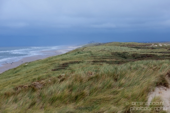Noordhollands_Duinreservaat_North_Sea_Noordzee_Dutch_landscape_nederlandse_landschap_summer_nature_Photography_029_Canon_EOS_5D_Mark_IV.JPG