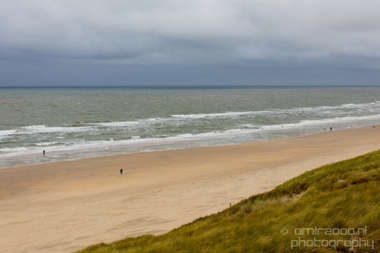 Noordhollands_Duinreservaat_North_Sea_Noordzee_Dutch_landscape_nederlandse_landschap_summer_nature_Photography_030_Canon_EOS_5D_Mark_IV.JPG