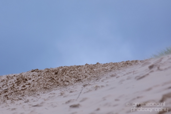 Noordhollands_Duinreservaat_North_Sea_Noordzee_Dutch_landscape_nederlandse_landschap_summer_nature_Photography_033_Canon_EOS_5D_Mark_IV.JPG
