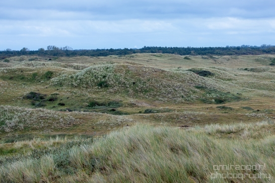 Noordhollands_Duinreservaat_North_Sea_Noordzee_Dutch_landscape_nederlandse_landschap_summer_nature_Photography_034_Canon_EOS_5D_Mark_IV.JPG