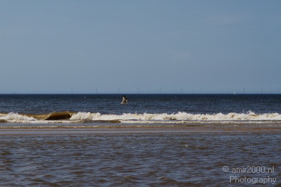 North-Holland_North_Sea_Nature_Landscape_Photography_008_Canon_EOS_7D.JPG