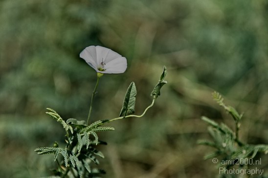 North_Israel_Summer_Landscape_Photography_009_Canon_EOS_7D.JPG