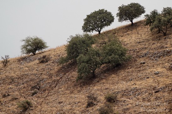 North_of_Israel_landscape_nature_Photography_001_Canon_EOS_7D.JPG