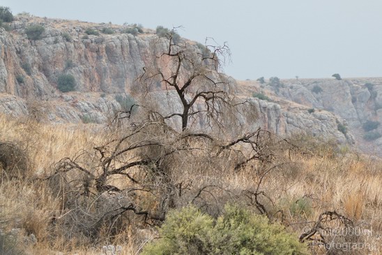 North_of_Israel_landscape_nature_Photography_002_Canon_EOS_7D.JPG