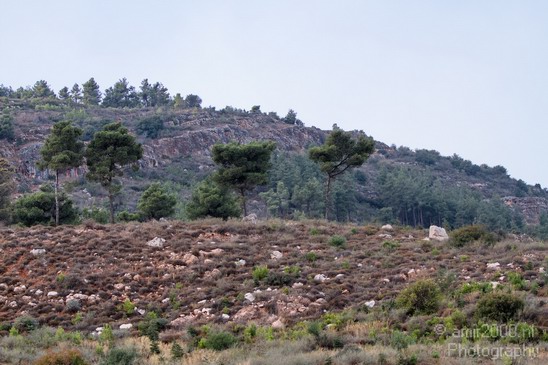 North_of_Israel_landscape_nature_Photography_011_Canon_EOS_7D.JPG