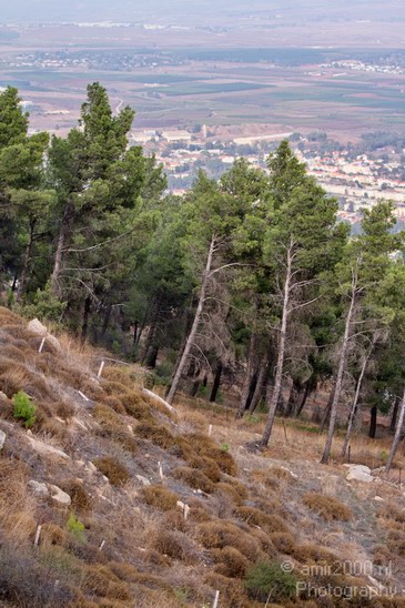 North_of_Israel_landscape_nature_Photography_012_Canon_EOS_7D.JPG