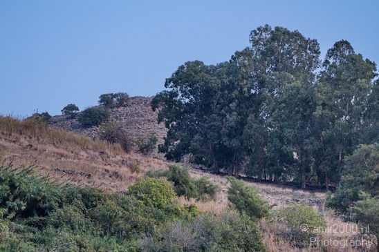 North_of_Israel_landscape_nature_Photography_023_Canon_EOS_7D.JPG