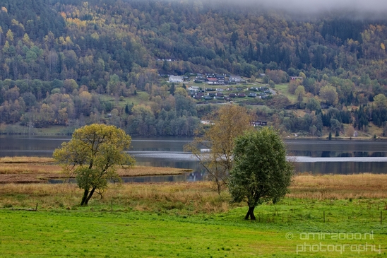 On_the_way_to_Fjords_Norwegian_nature_landscape_Photography_020_Canon_EOS_5D_Mark_IV.JPG