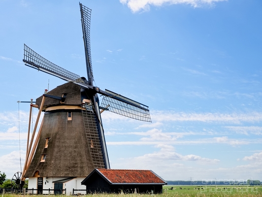 Oostzijdse_Molen_windmilll_Dutch_landscape_nederlandse_landschap_spring_lente_nature_photography_005.JPG
