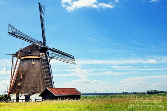 Oostzijdse_Molen_windmilll_Dutch_landscape_nederlandse_landschap_spring_lente_nature_photography_007.JPG