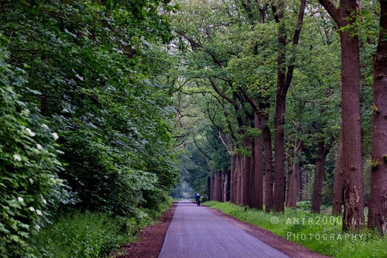 Oranjewoud_Heerenveen_Friesland_Dutch_landscape_Nederlandse_landschap_nature_Photography_006_Canon_EOS_5D_Mark_IV.JPG