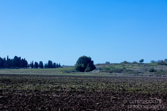 Pelican_lookout_Mishmar_Hasharon_Emek_Hefer_Valley_nature_Israel_Landscape_Photography_001_Canon_EOS_5D_Mark_IV.JPG