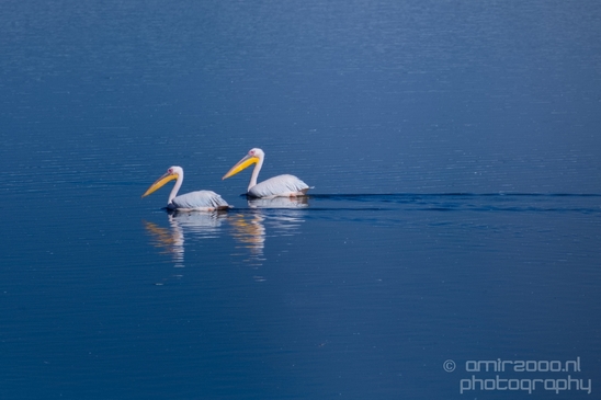 Pelican_lookout_Mishmar_Hasharon_Emek_Hefer_Valley_nature_Israel_Landscape_Photography_002_Canon_EOS_5D_Mark_IV.JPG