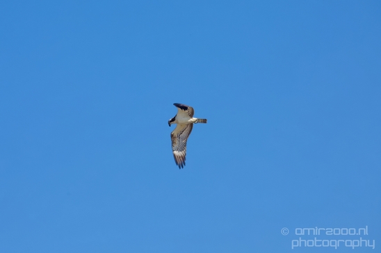Pelican_lookout_Mishmar_Hasharon_Emek_Hefer_Valley_nature_Israel_Landscape_Photography_009_Canon_EOS_5D_Mark_IV.JPG
