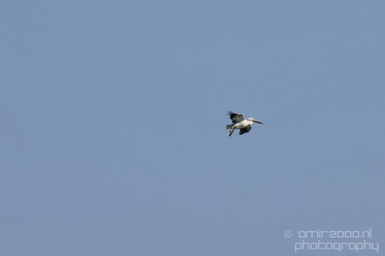 Pelican_lookout_Mishmar_Hasharon_Emek_Hefer_Valley_nature_Israel_Landscape_Photography_010_Canon_EOS_5D_Mark_IV.JPG