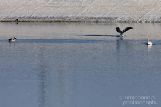 Pelican_lookout_Mishmar_Hasharon_Emek_Hefer_Valley_nature_Israel_Landscape_Photography_011_Canon_EOS_5D_Mark_IV.JPG