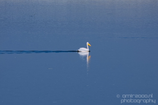 Pelican_lookout_Mishmar_Hasharon_Emek_Hefer_Valley_nature_Israel_Landscape_Photography_013_Canon_EOS_5D_Mark_IV.JPG