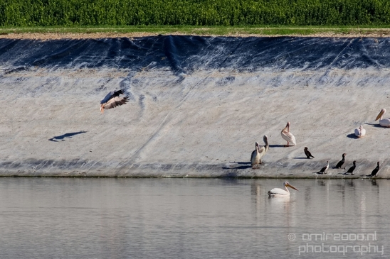 Pelican_lookout_Mishmar_Hasharon_Emek_Hefer_Valley_nature_Israel_Landscape_Photography_016_Canon_EOS_5D_Mark_IV.JPG