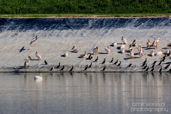 Pelican_lookout_Mishmar_Hasharon_Emek_Hefer_Valley_nature_Israel_Landscape_Photography_018_Canon_EOS_5D_Mark_IV.JPG