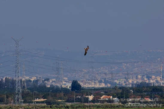 Pelican_lookout_Mishmar_Hasharon_Emek_Hefer_Valley_nature_Israel_Landscape_Photography_024_Canon_EOS_5D_Mark_IV.JPG