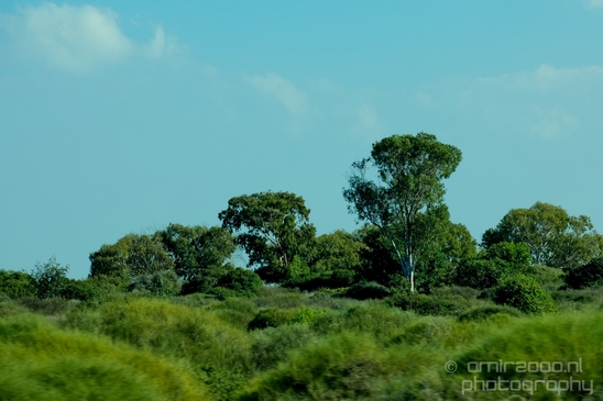 Pelican_lookout_Mishmar_Hasharon_Emek_Hefer_Valley_nature_Israel_Landscape_Photography_028_Canon_EOS_5D_Mark_IV.JPG