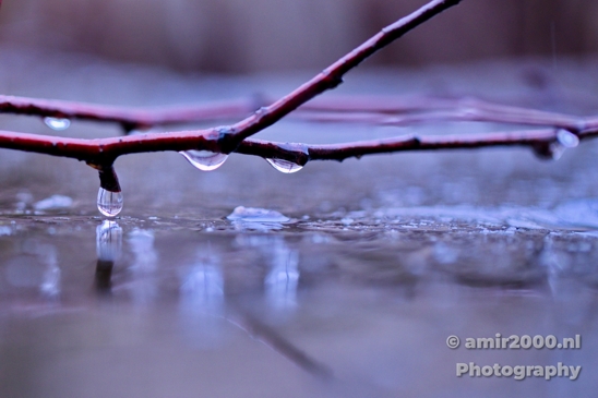 Rain_Drops_Macro_Photography_Nature_Photography_5D_Mark_IV_0002.JPG