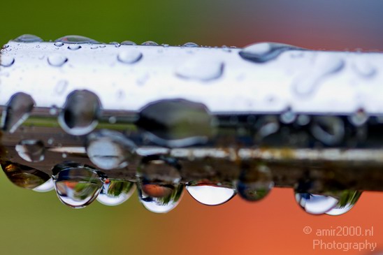 Rain_Drops_macro_nature_Landscape_Photography_004_Canon_EOS_5D_Mark_IV.JPG