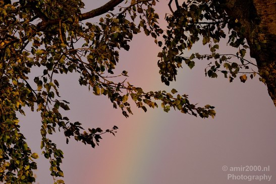 Rainbow_nature_Landscape_Photography_002_Canon_EOS_5D_Mark_IV.JPG