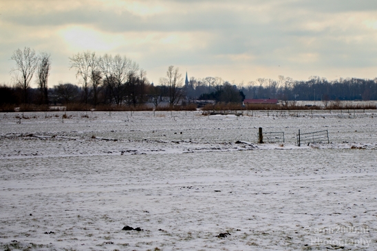 Snow_winter_scenery_north_holland_landscape_nederland_Photography_007_Canon_EOS_5D_Mark_IV.JPG