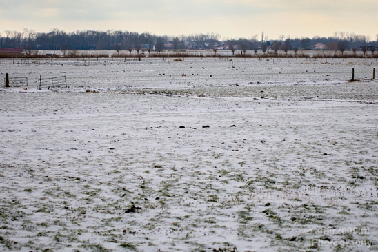 Snow_winter_scenery_north_holland_landscape_nederland_Photography_008_Canon_EOS_5D_Mark_IV.JPG