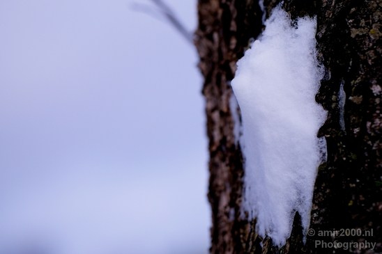 Snow_winter_scenery_north_holland_landscape_nederland_Photography_027_Canon_EOS_5D_Mark_IV.JPG