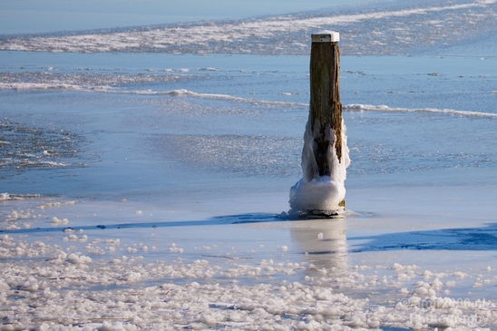 Snow_winter_scenery_north_holland_landscape_nederland_Photography_097_Canon_EOS_5D_Mark_IV.JPG