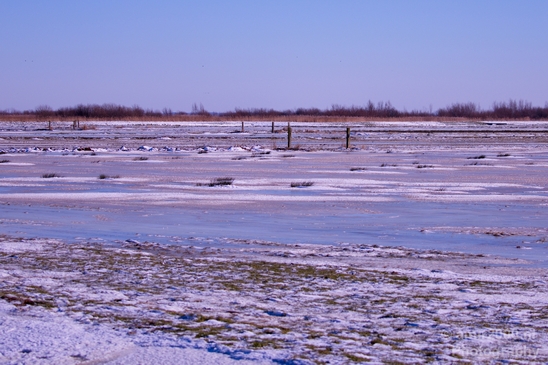 Snow_winter_scenery_north_holland_landscape_nederland_Photography_117_Canon_EOS_5D_Mark_IV.JPG