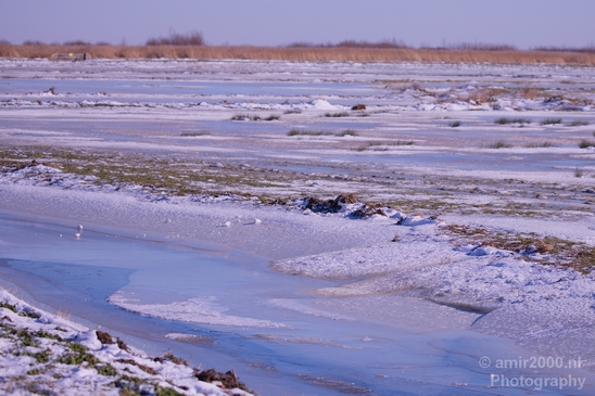 Snow_winter_scenery_north_holland_landscape_nederland_Photography_118_Canon_EOS_5D_Mark_IV.JPG