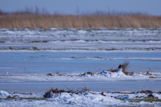 Snow_winter_scenery_north_holland_landscape_nederland_Photography_121_Canon_EOS_5D_Mark_IV.JPG