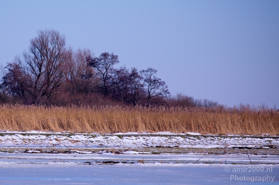 Snow_winter_scenery_north_holland_landscape_nederland_Photography_122_Canon_EOS_5D_Mark_IV.JPG