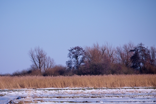 Snow_winter_scenery_north_holland_landscape_nederland_Photography_123_Canon_EOS_5D_Mark_IV.JPG