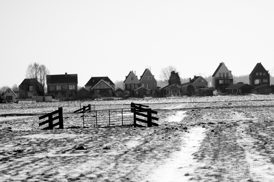 Snow_winter_scenery_north_holland_landscape_nederland_Photography_135_Canon_EOS_5D_Mark_IV.JPG